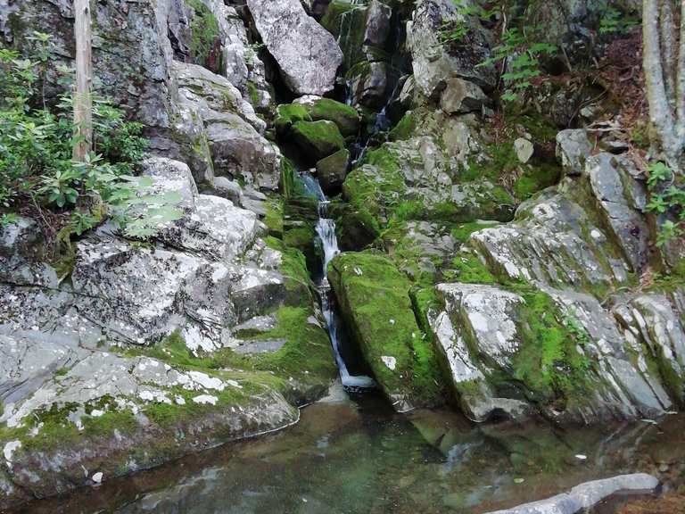 Slacks Overlook Trail & White Rock Falls Trail loop — George Washington ...