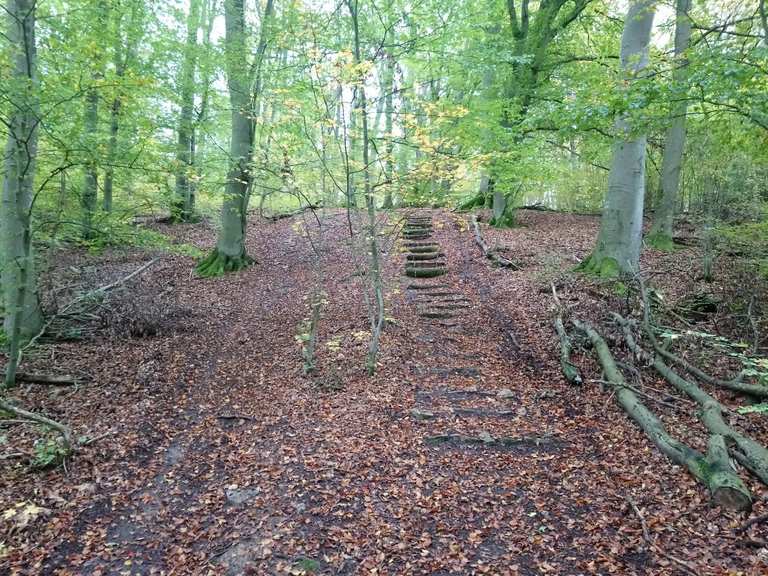 M-Weg Trail - Thüngersheim, Würzburg | Mountainbiketipps ...