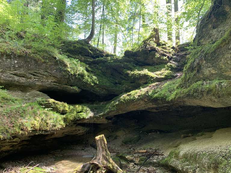 Dachshöhle bei Wackersberg Wanderungen und Rundwege komoot