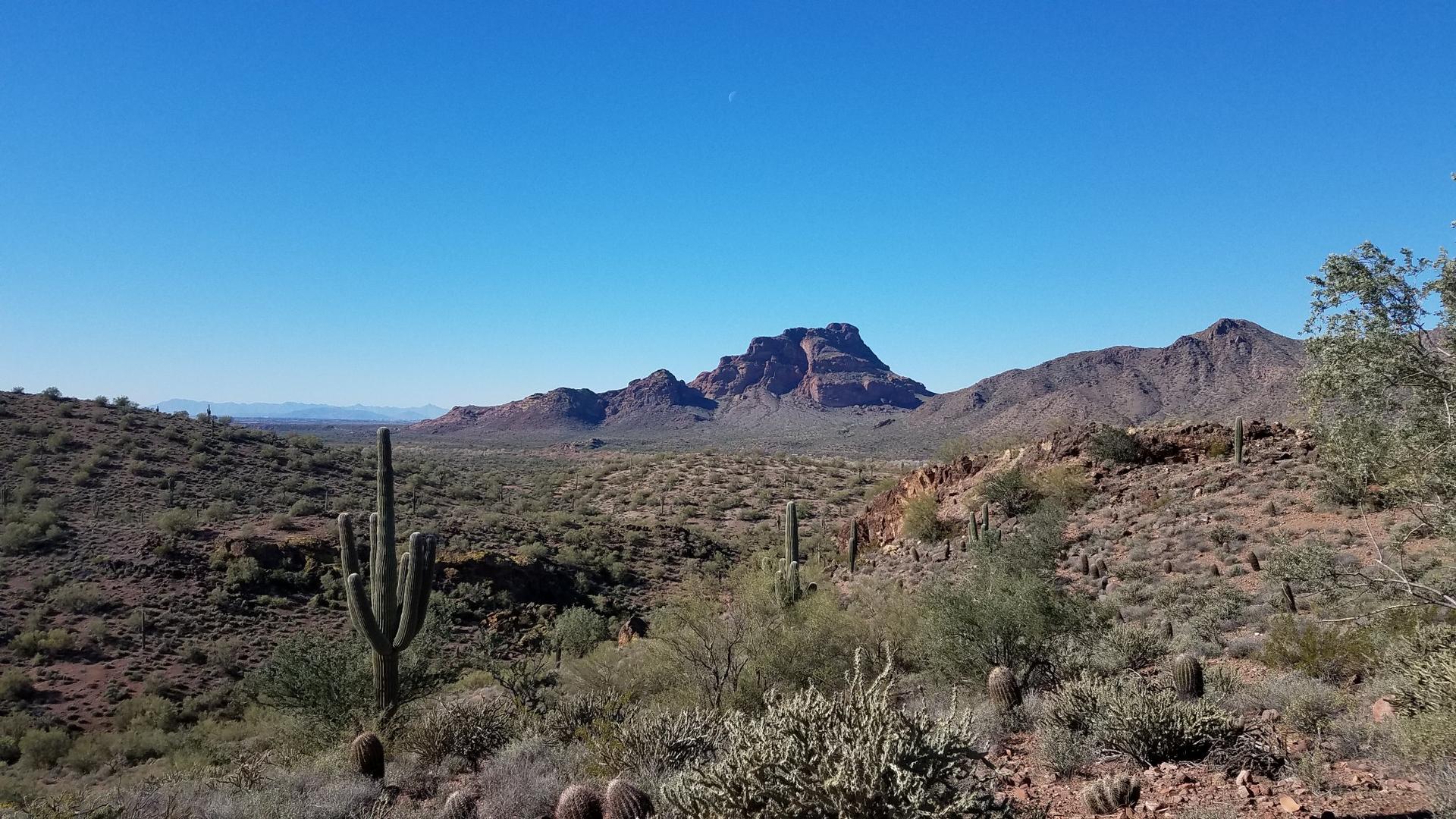 Desert landscape with saguaro cactus, prominent mountain, and clear blue sky.