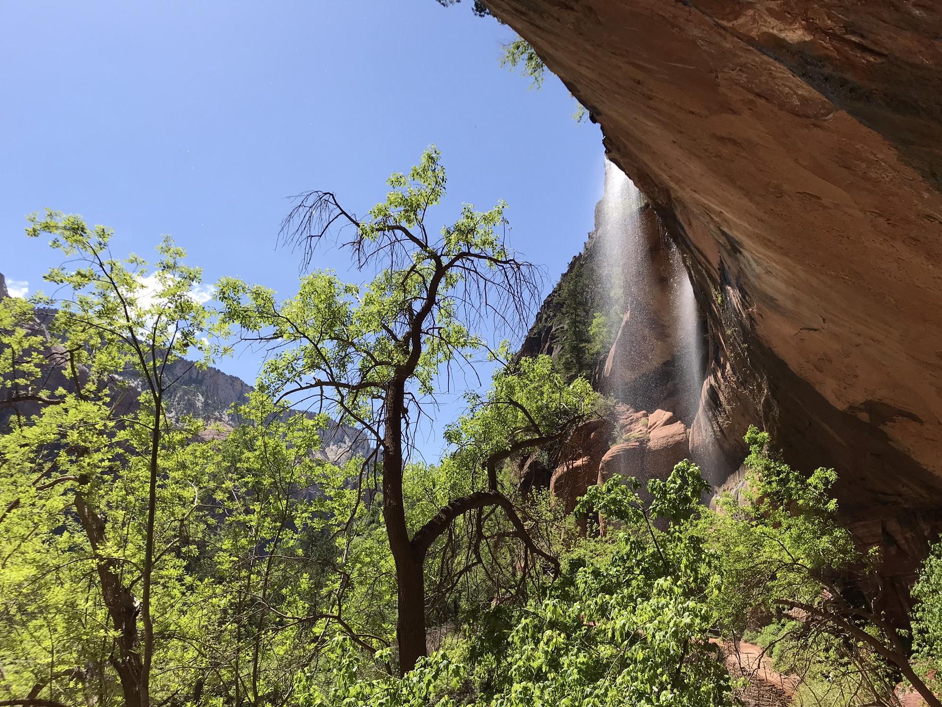 Waterfall cascades down a rock face, framed by green trees on a sunny day.