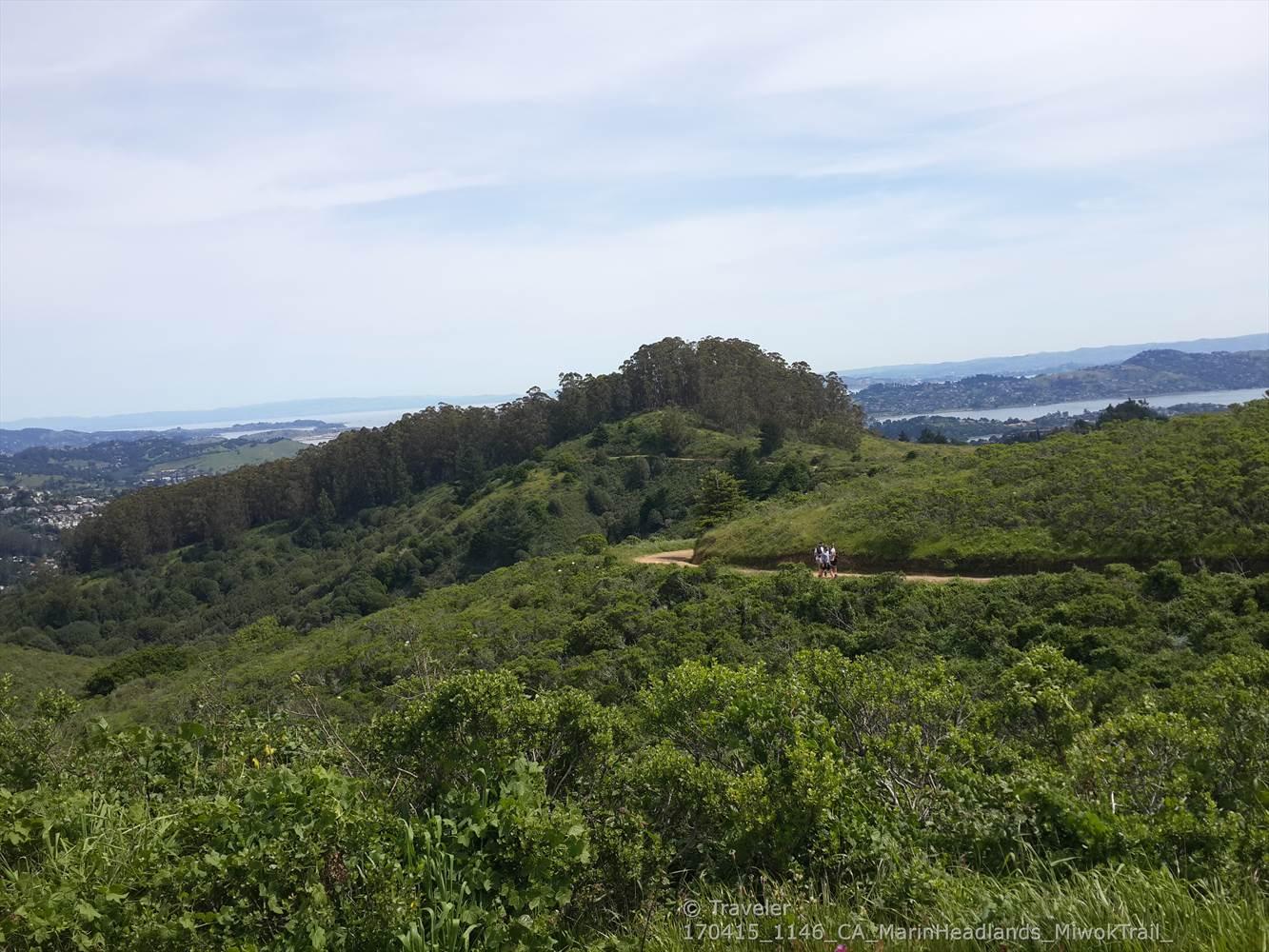 Lush green hills with a winding path and distant water under blue sky.