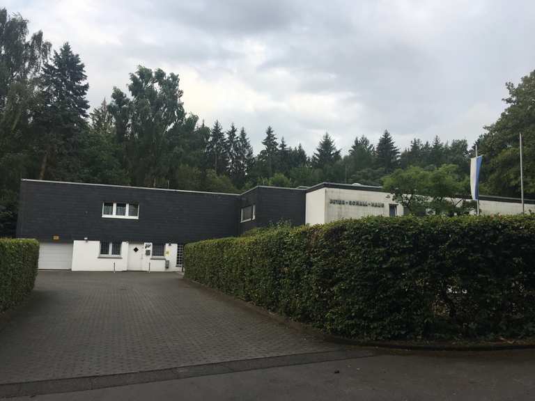 Mammutbaume Grosser Feldberg Runde Von Glocknerwiese