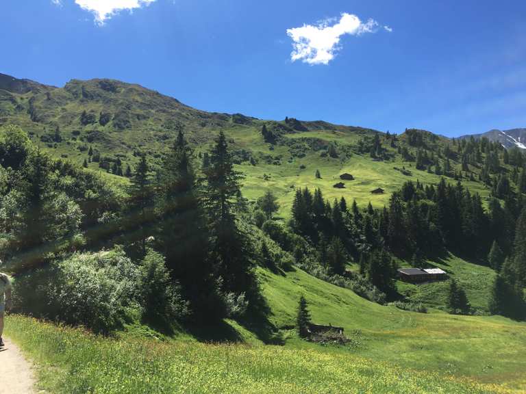 Wanderweg von der Martalm zur Oberen Gewingesalm Routes for Walking and ...