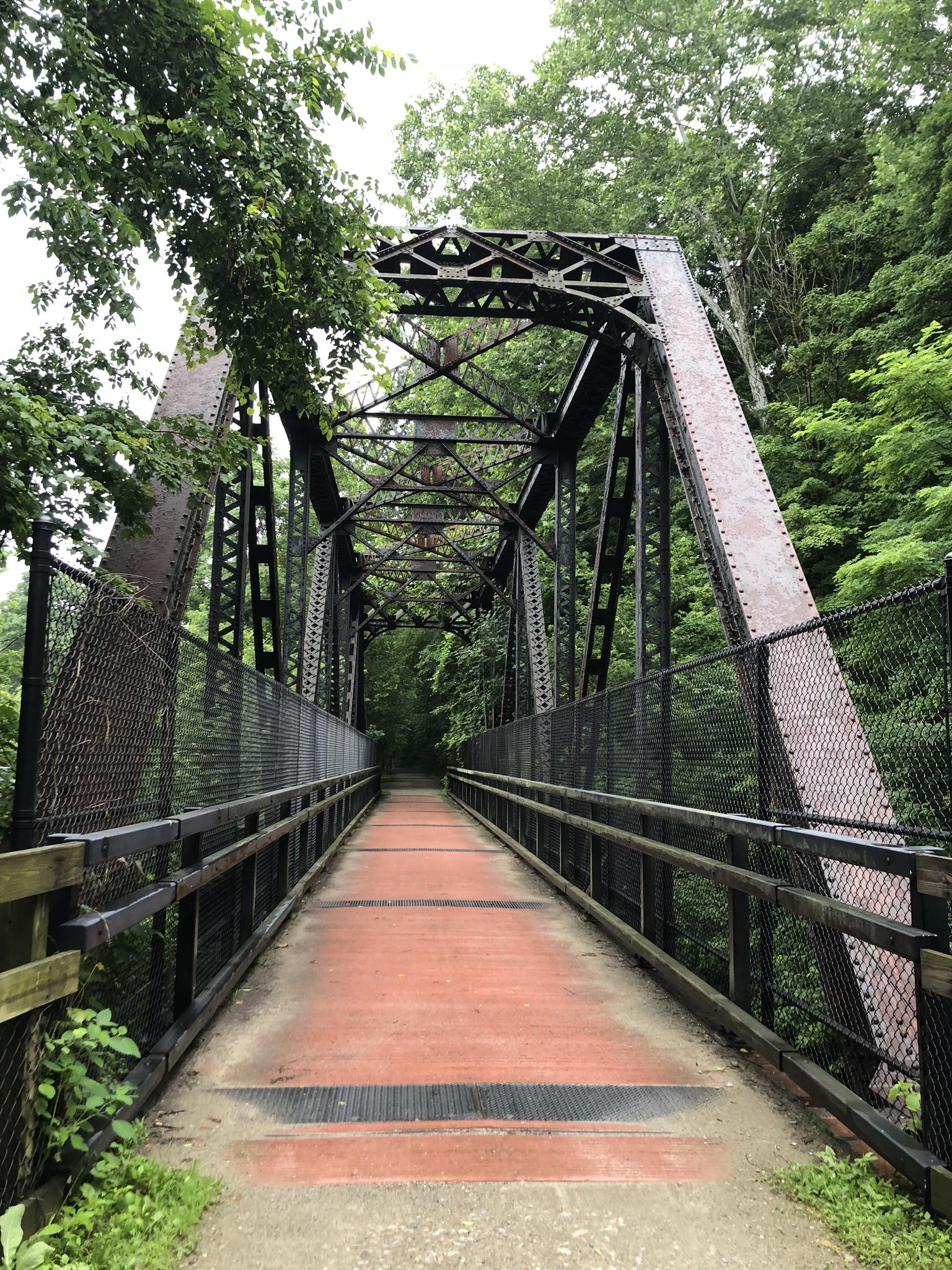 An old metal truss bridge with wooden planks, surrounded by lush green trees.
