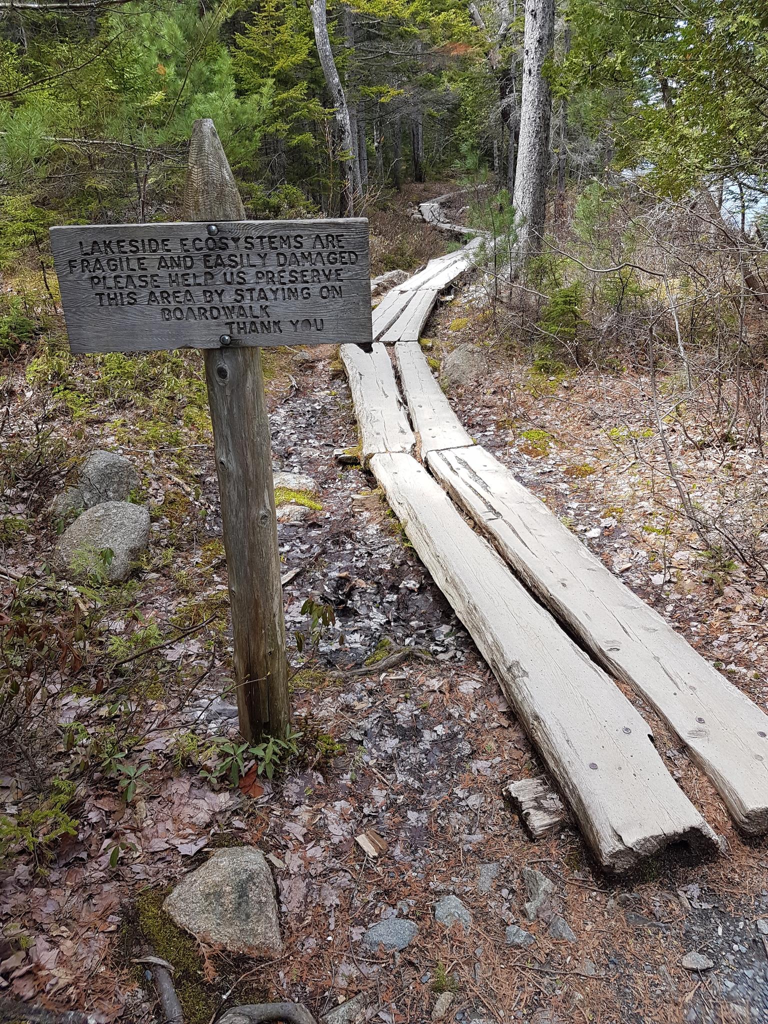 Wooden sign next to a narrow boardwalk path through a sun-dappled forest.