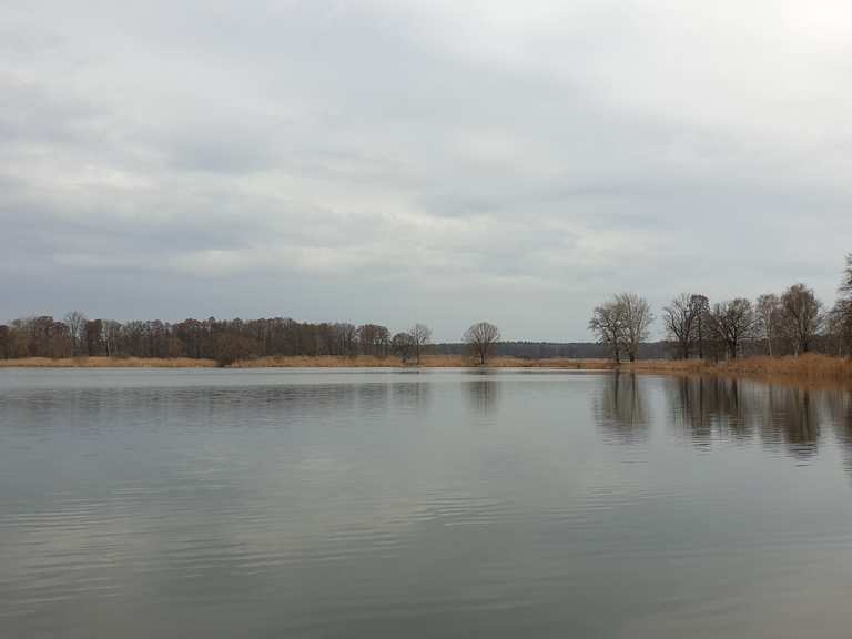 Teiche am Euloer Bruch Wanderungen und Rundwege komoot