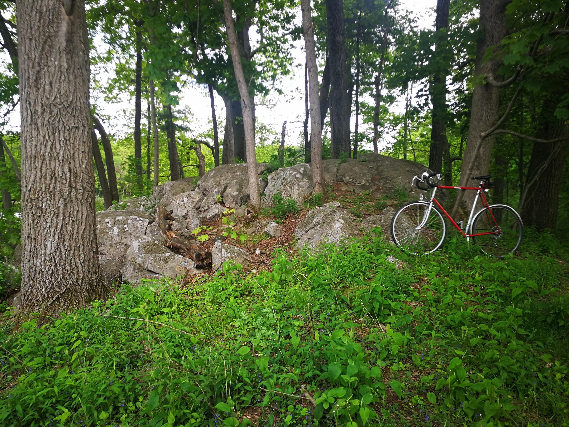 A red bicycle leaning against large rocks in a sun-dappled green forest.