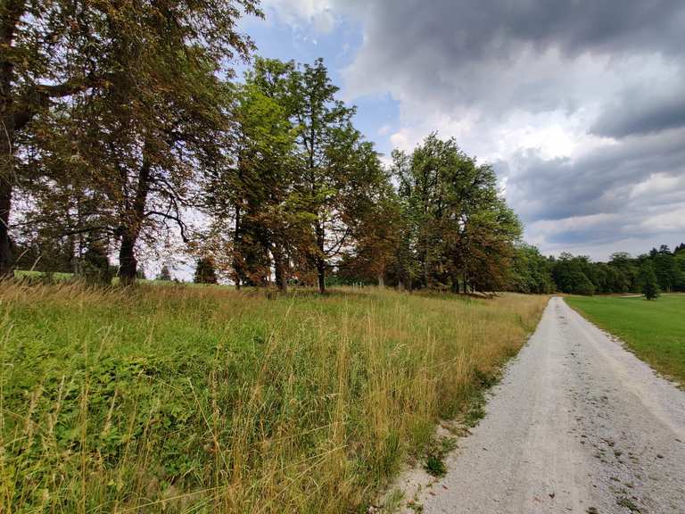 Rosenhofer Teiche Kleiner Rosenhoferteich Runde von Sandl Wanderung