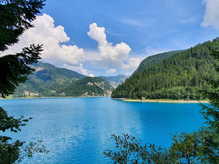 Lago di Sauris - Ampezzo, Udine | Cycling Segment | Komoot