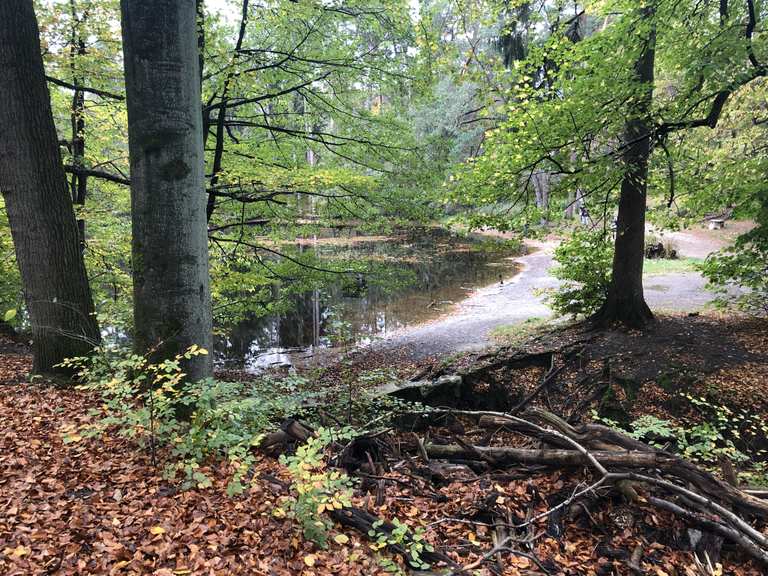 Detmold Donoper Teich Cycle Routes and Map Komoot