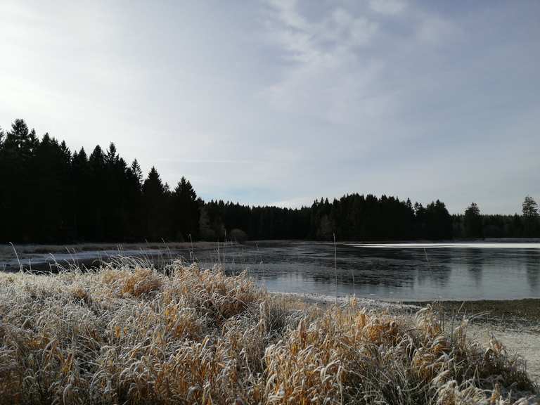 Kiefhölzer Teich Wanderungen und Rundwege komoot
