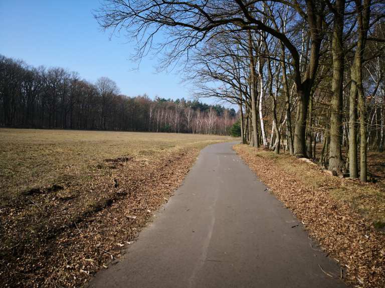 Mauerweg - Road Cycle Routes and Map | Komoot
