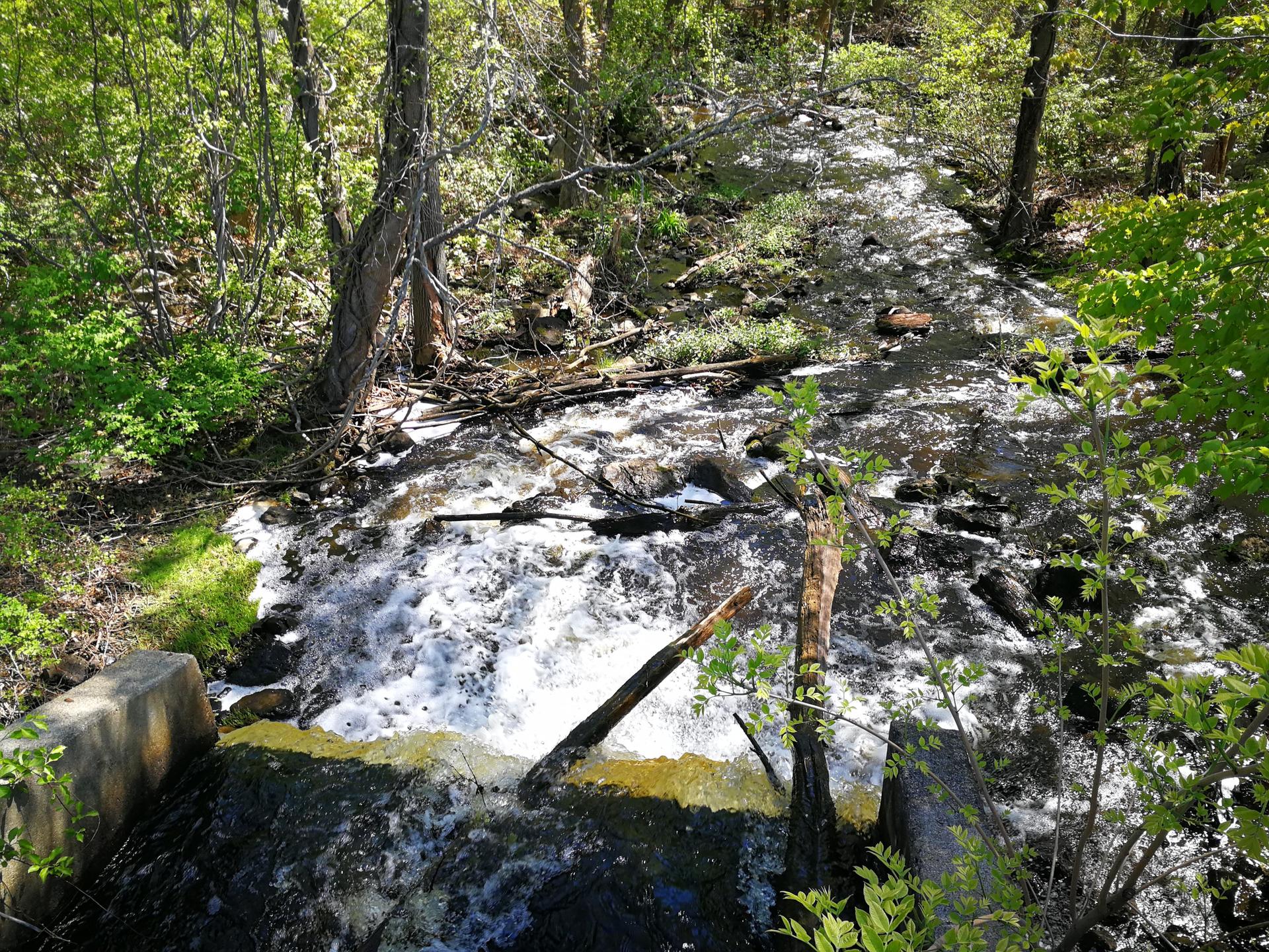 Rushing stream cascading over rocks and concrete in a sunny forest.