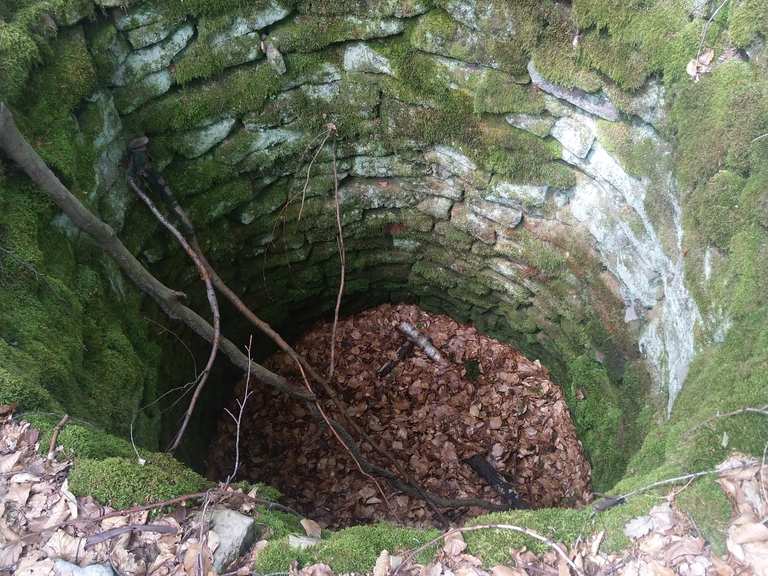 Wolfsgruben Wanderungen und Rundwege komoot