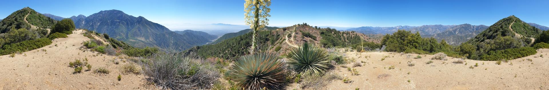 Panoramic view of arid mountains, desert plants, and a clear blue sky.