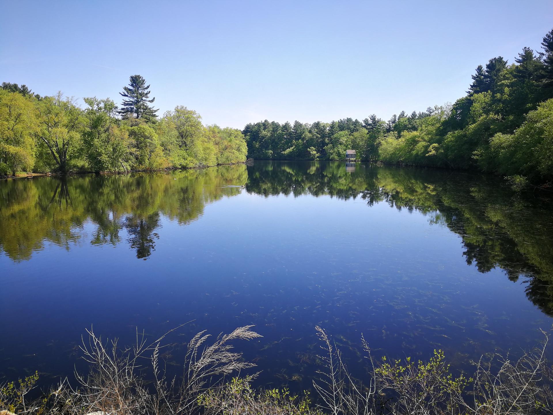 Bright sunny view of a calm river reflecting lush green trees and blue sky.