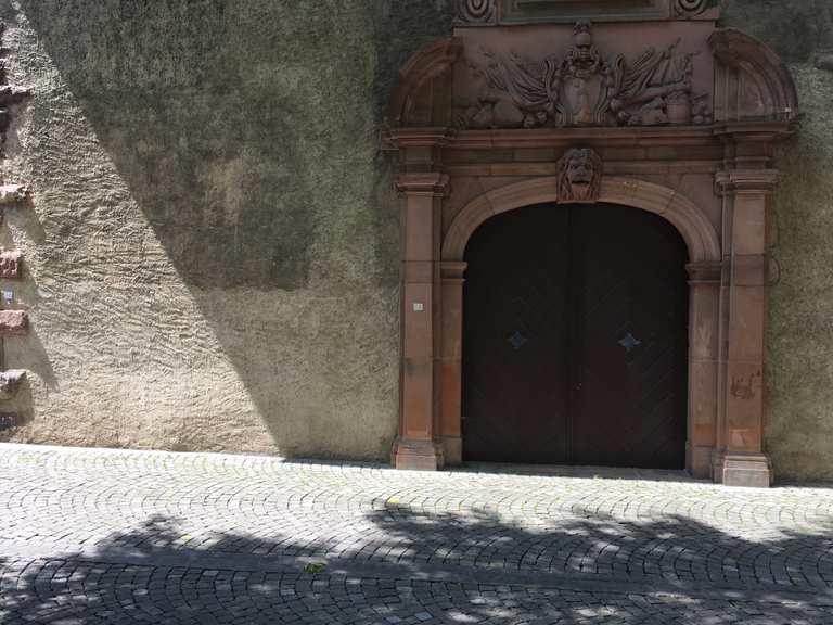 Unterer Rheinweg Wanderungen und Rundwege komoot