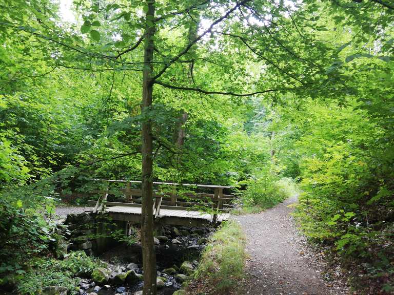 Schlosspark Rauischholzhausen Routes for Walking and Hiking | Komoot