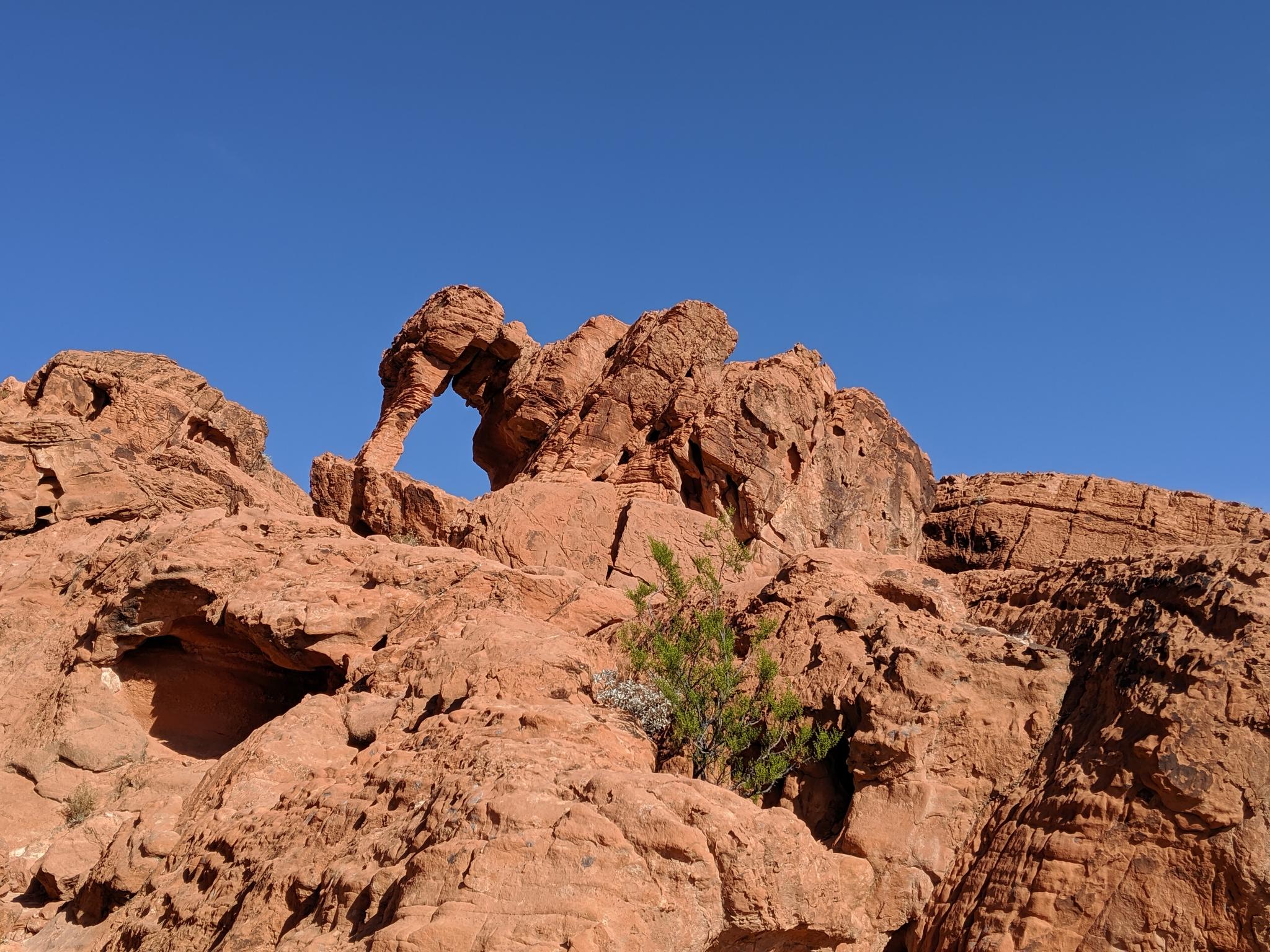 Red rock formation with an elephant-shaped arch under a clear blue sky.