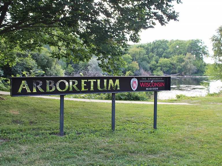 Arboretum перевод. Arboretum перевод. Arboretum. Дендрарий арнольда гарвардского университета. Arboretum перевод на русский.