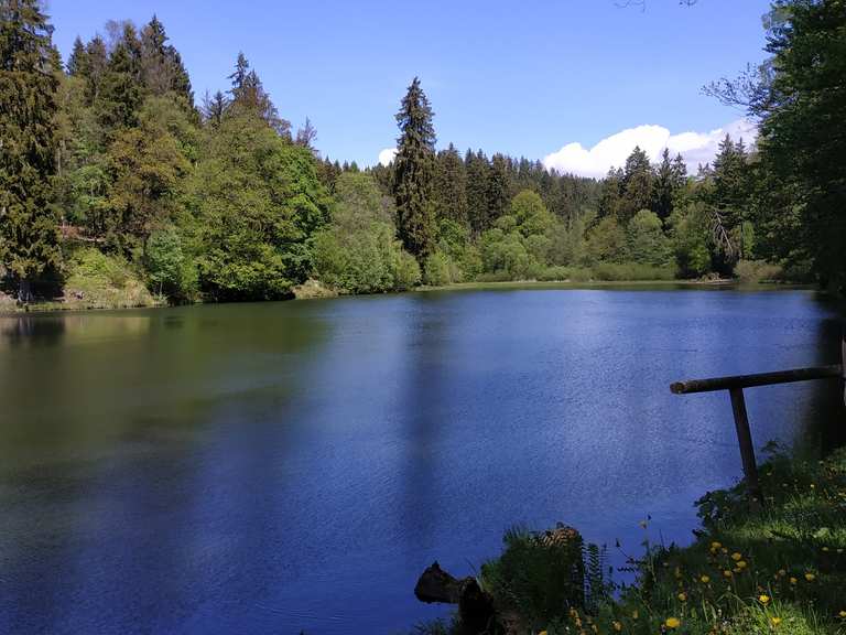 Neuer Teich, Harz, Deutschland Wandertipps & Fotos Komoot