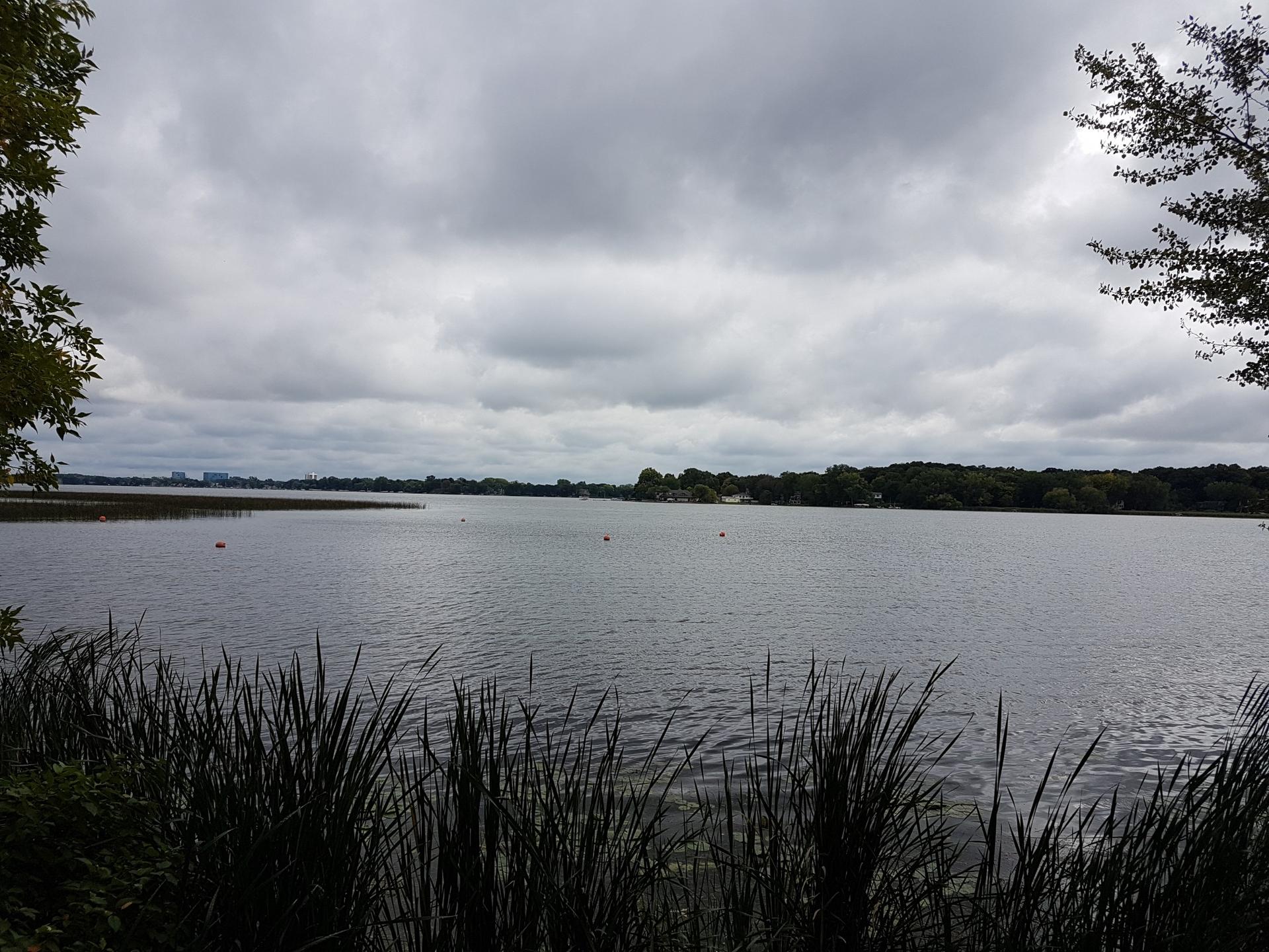 Wide lake under a cloudy sky, with dark reeds in foreground.