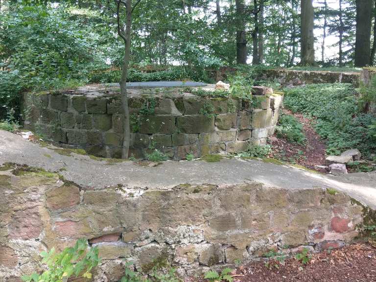 Burgruine Rodenberg Routes for Walking and Hiking | Komoot