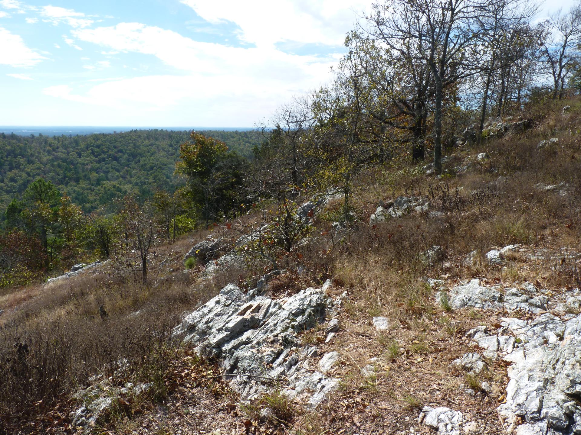 Rocky, dry hillside with sparse trees overlooking distant forested landscape.