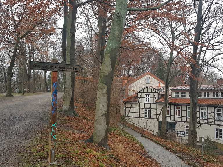 Cafe Botanik Und Der Alte Botanische Garten In Gottingen