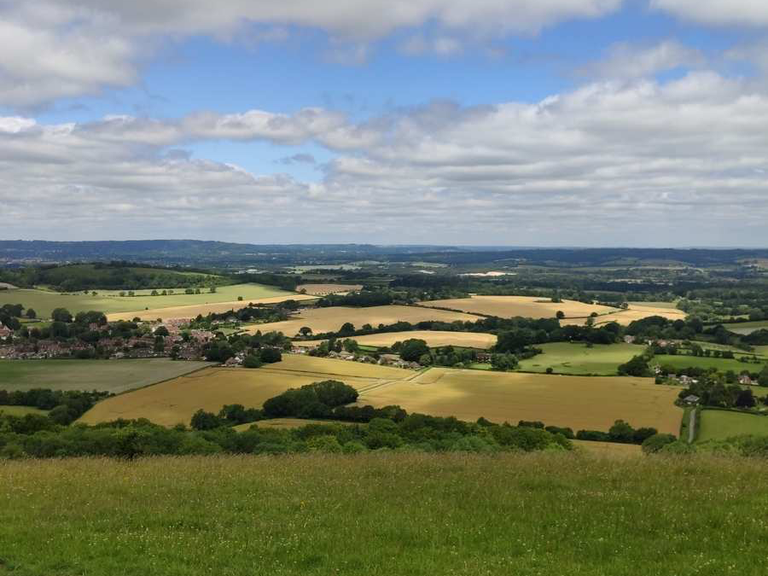 Stansted House, Kingley Vale and Queen Elizabeth Country Park loop ...