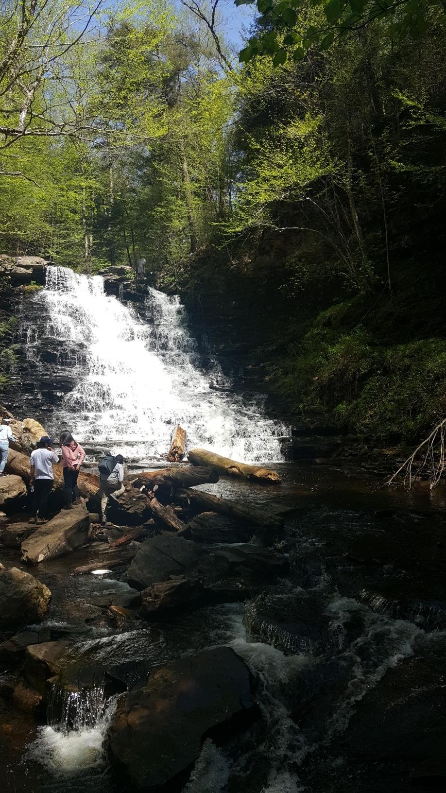 People gathered near a wide, cascading waterfall in a sunlit forest.