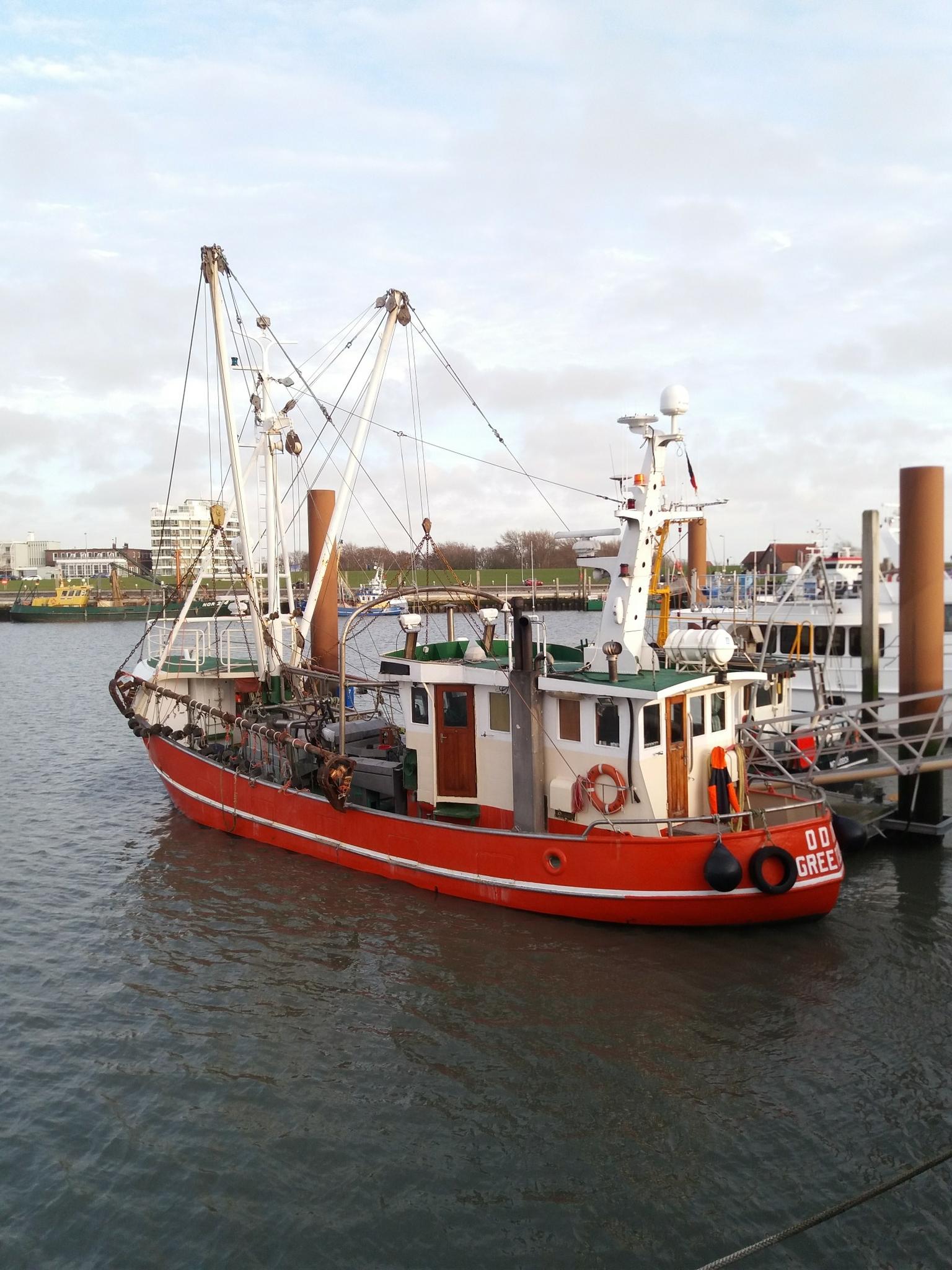Ausflug Norddeich Juist