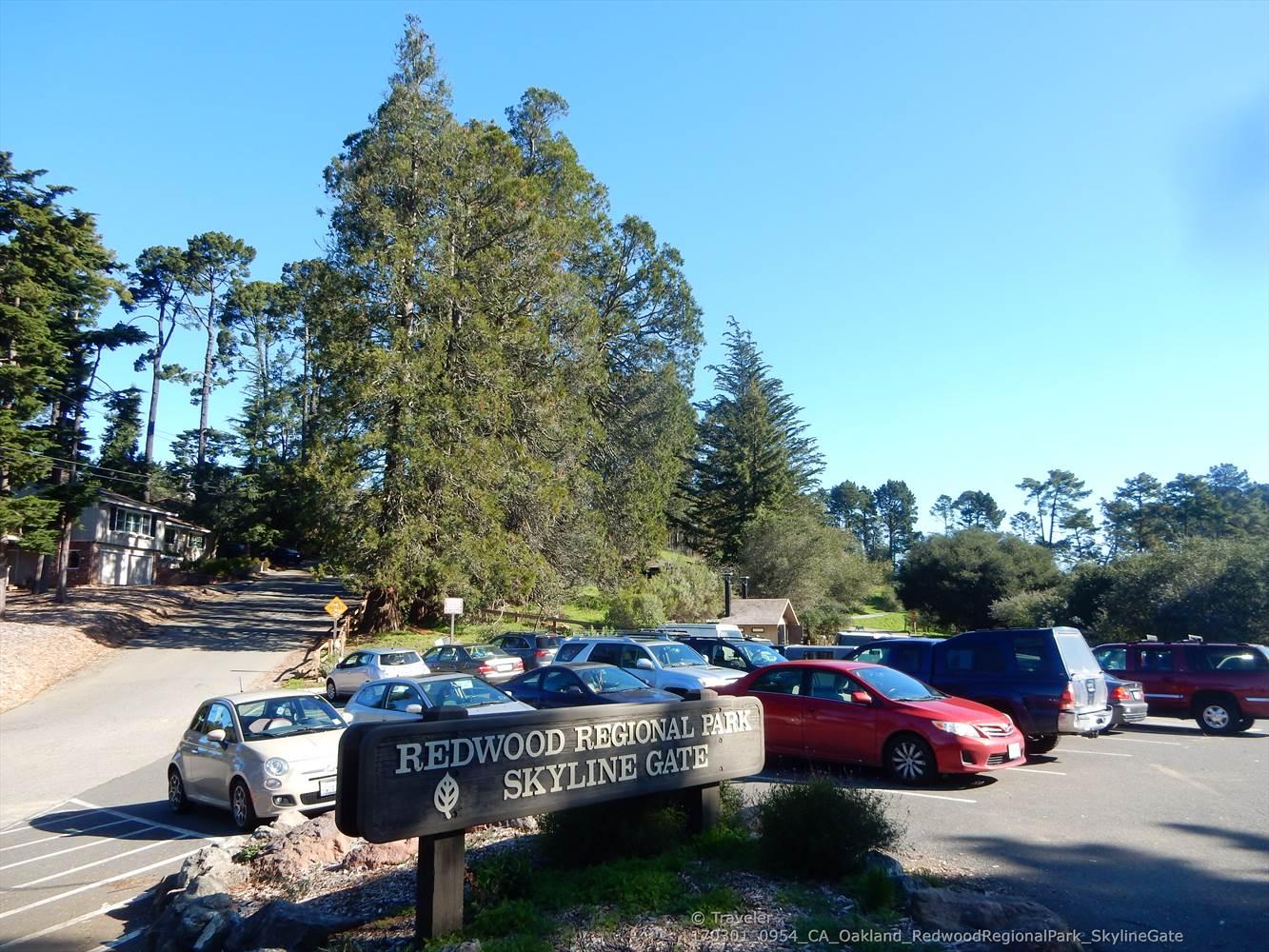 Sunny parking lot with cars, tall trees, and a park entrance sign.