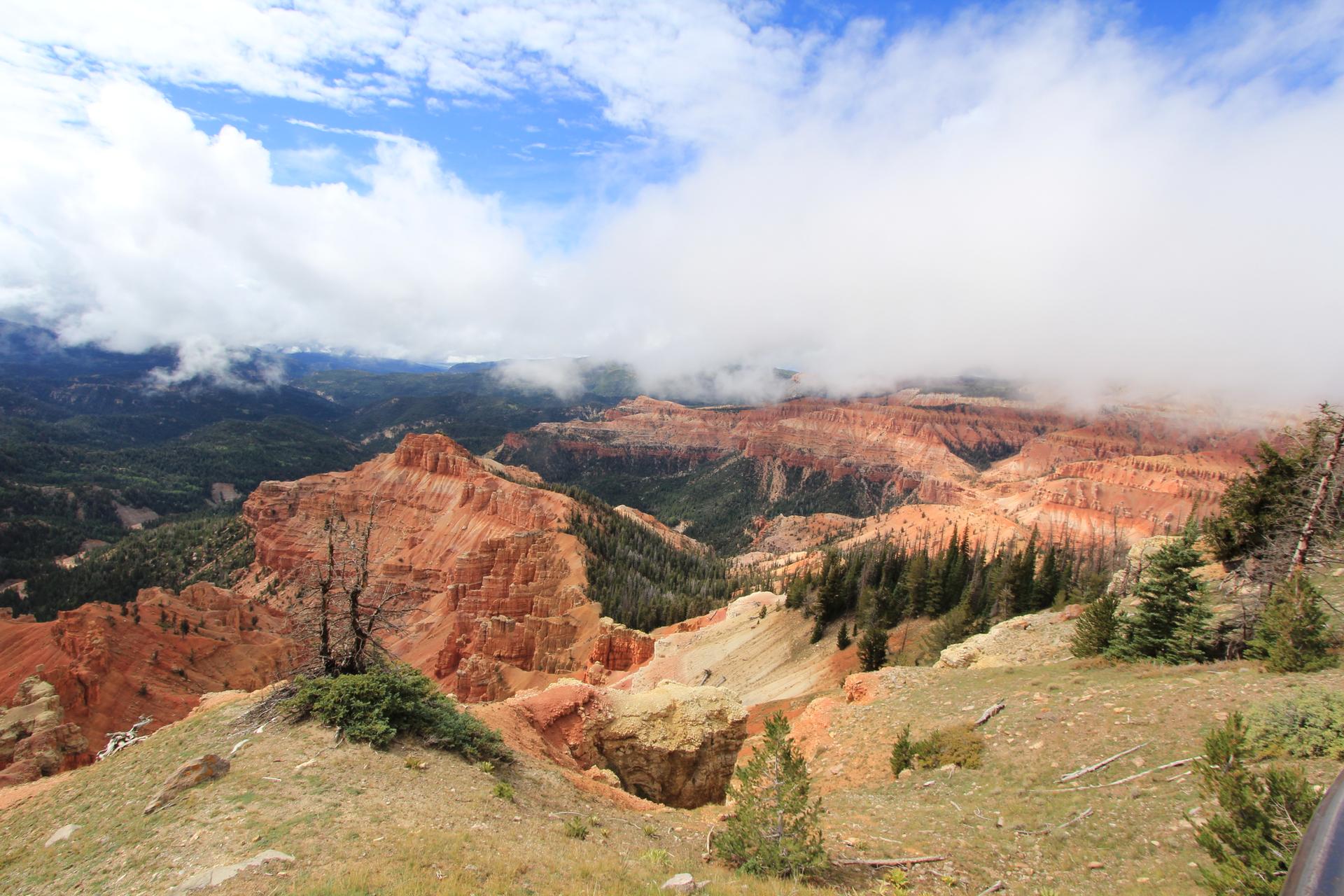 Canyon vista with red rock formations and green trees, partially shrouded in clouds.