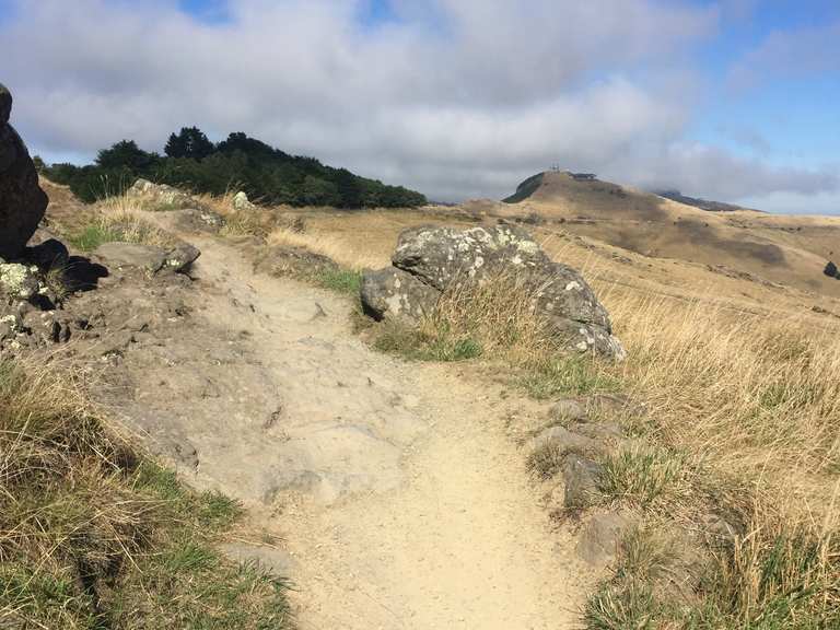 Crater Rim Walkway viewpoint – Mount Vernon track (shared) loop from ...