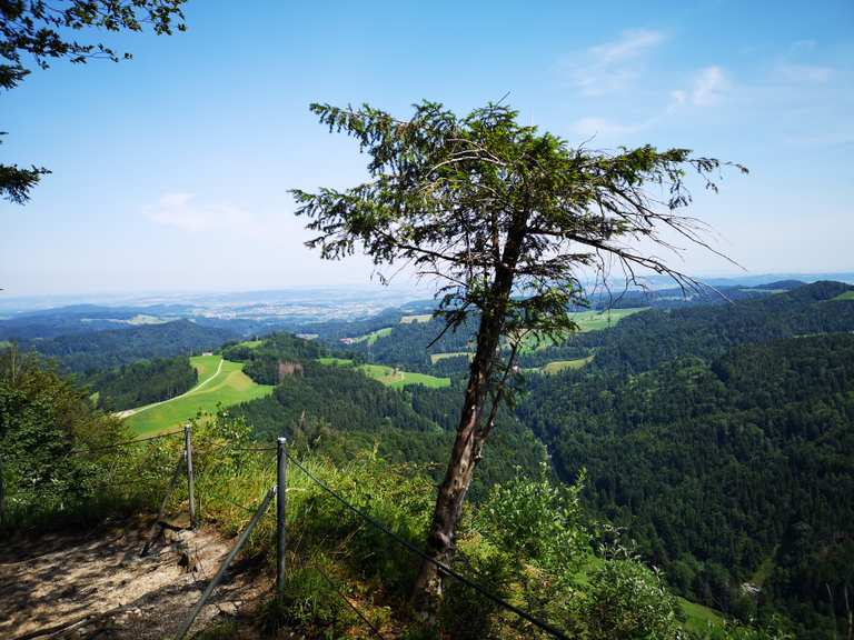 Höchster Punkt des Kantons Thurgau (991.1 m): Wanderungen und Rundwege ...