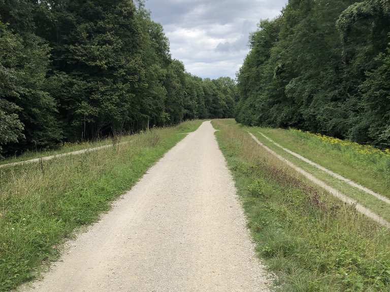 Englischer Garten Neuburg Radtouren und Radwege komoot