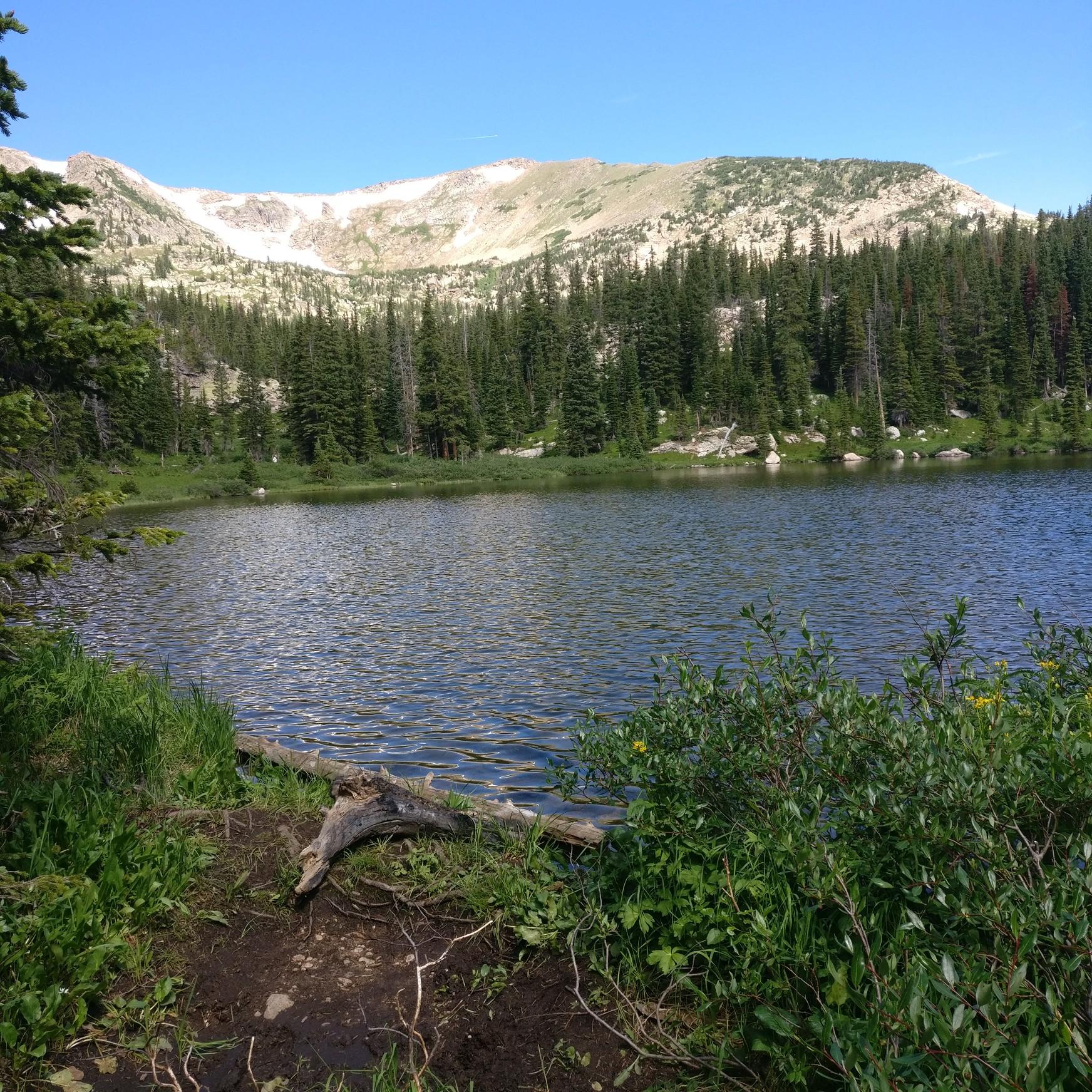 Serene lake surrounded by pine trees, with sunlit, snow-capped mountains in background.