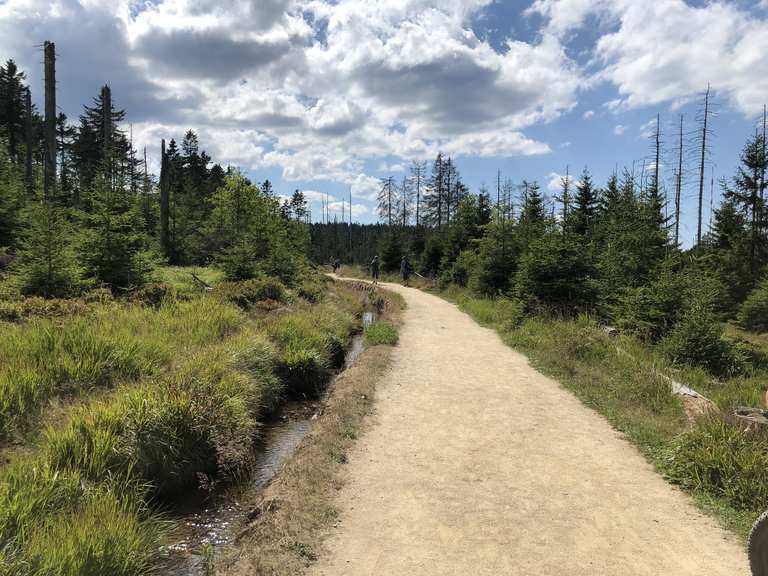 Von Torfhaus auf dem GoetheWeg zum Brocken wandern am Grünen Band Wanderung Komoot