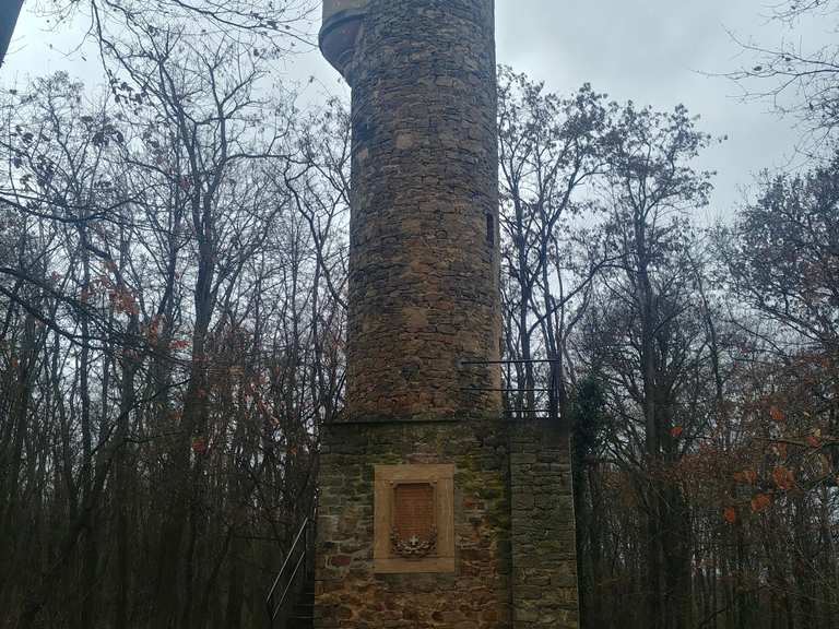 Lonsheimer Turm - Lonsheim, Alzey-Worms | Wandertipps & Fotos | Komoot