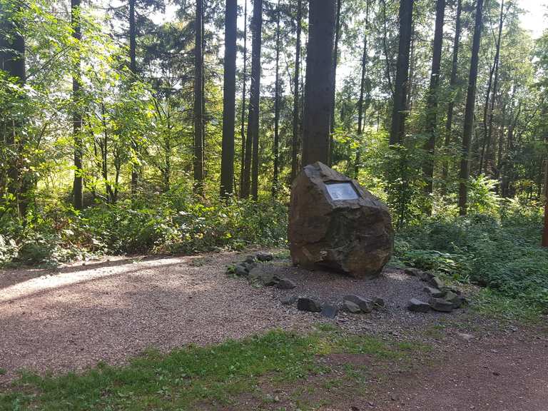 Asiatischer Garten Ausblick von Falscheid Runde von