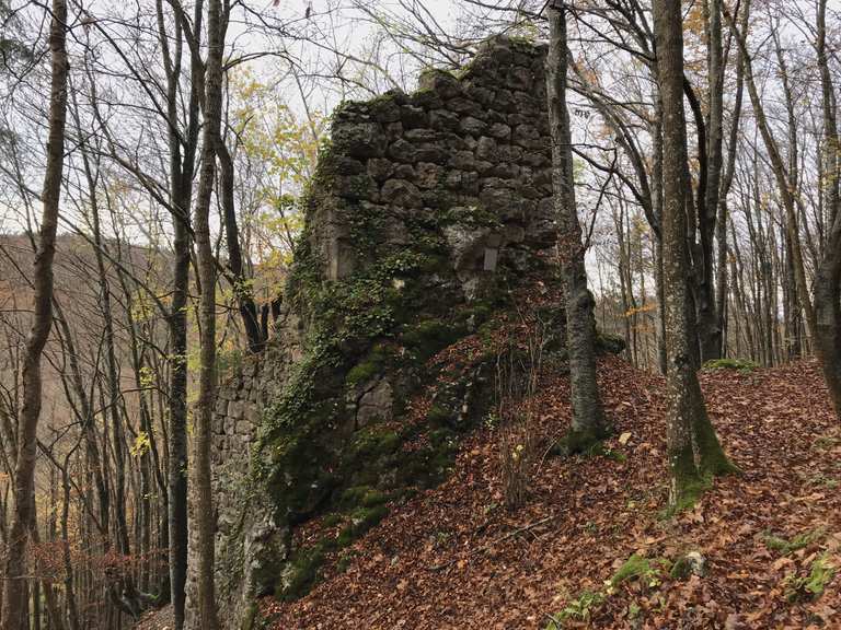 Ruine Ringelstein Wanderungen und Rundwege komoot