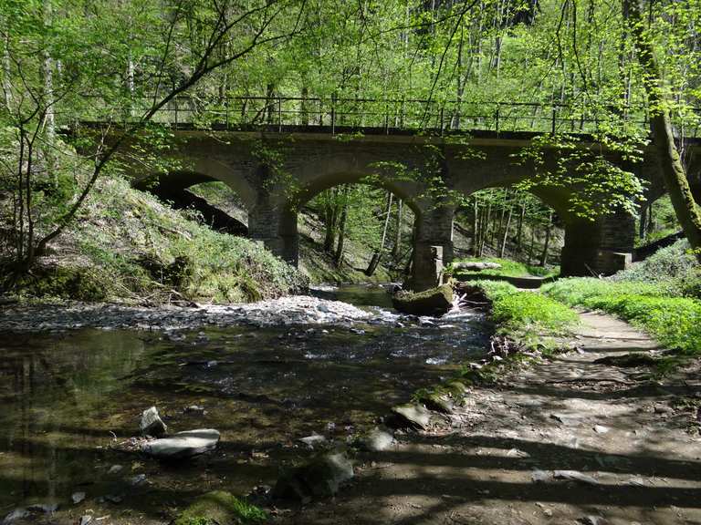 Brexbachtal Mountain Bike Trails & Tracks | Komoot