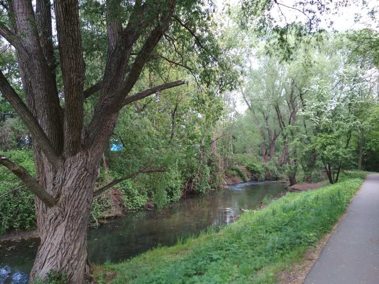LE Abtnaundorfer Parkteich Parthe bei Schönefeld Runde von Borsdorf