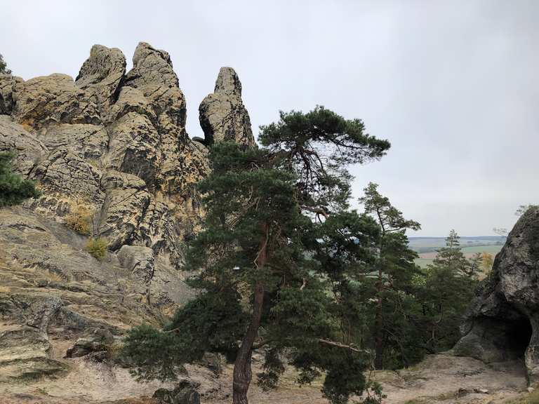 Download Hamburger Wappen Harz Wanderung Background