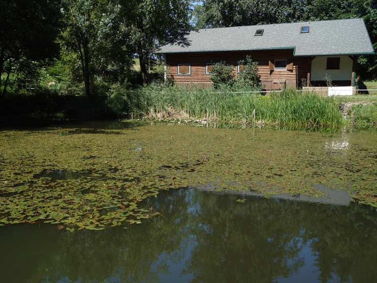 Alter Teich MountainbikeTouren und Trails komoot