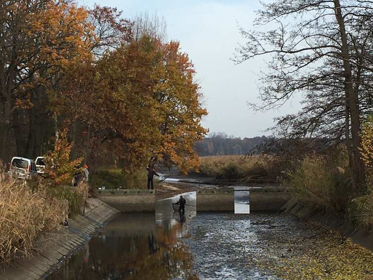 Peitzer Teiche Wanderungen und Rundwege komoot