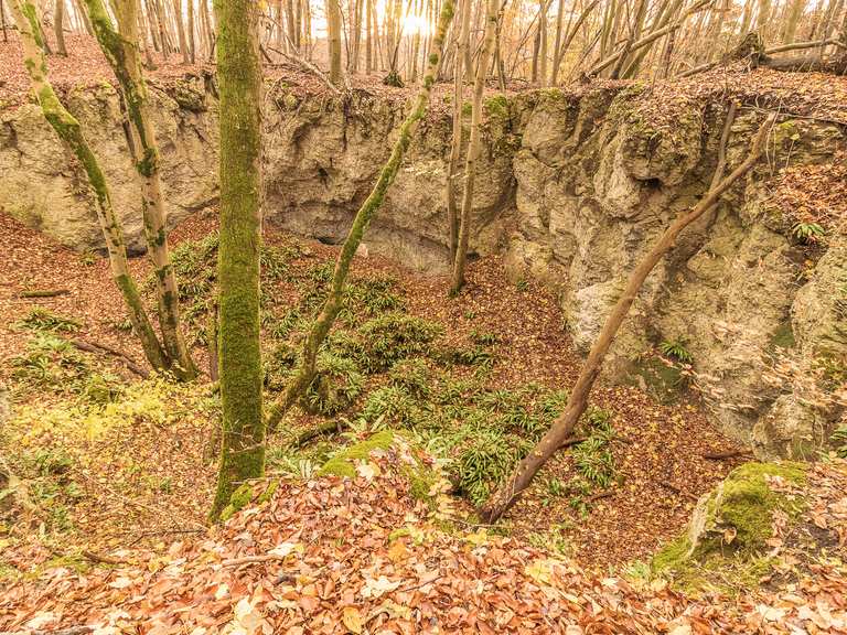 Gipskarstlandschaft Hainholz Erdfall im Hainholz Runde von