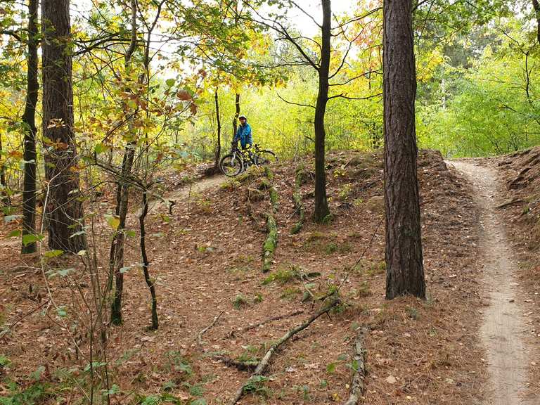 De Schaak Mountainbike-Strecke  Wander- & Radrouten | Komoot